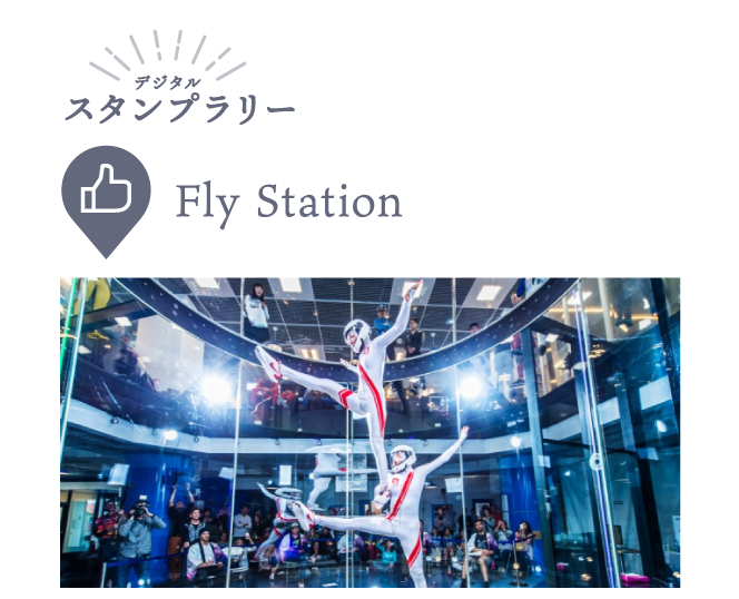 Fly Station