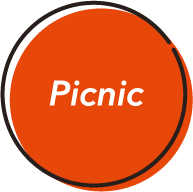 Picnic