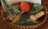 げんきの市場の野菜